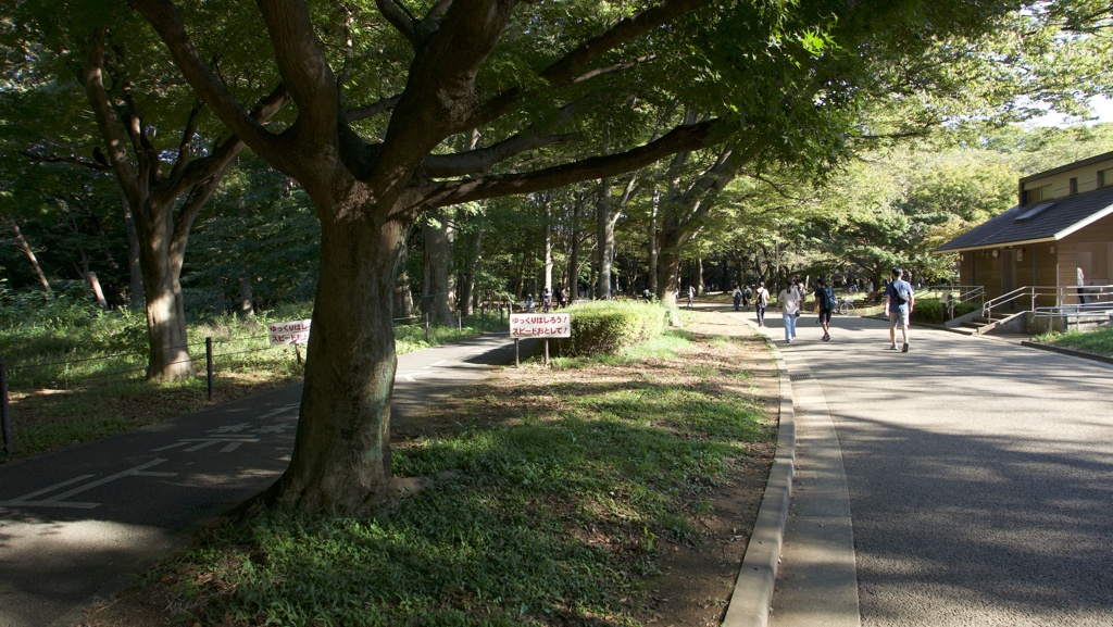 代々木公園
