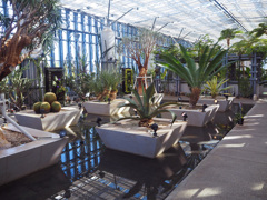 植物園温室