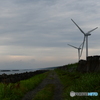 風車の風景