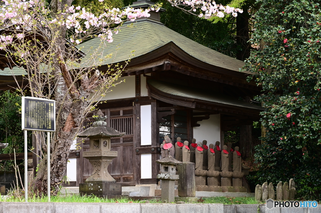春のお地蔵様３