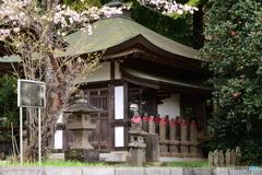 春のお地蔵様３