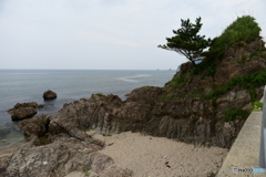 日本海を望む