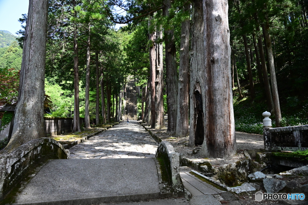 三門から石段を望む