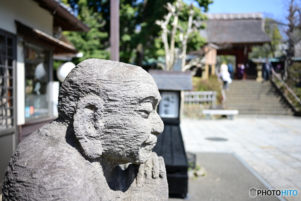 深大寺そば店から深大寺を望む