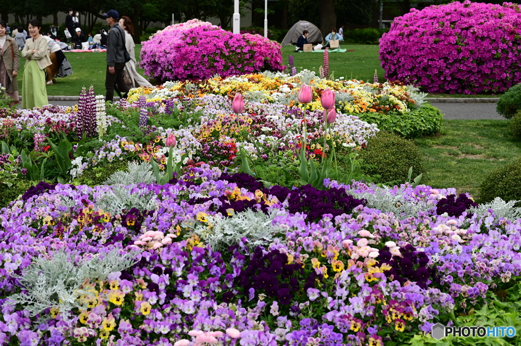 花の造形１