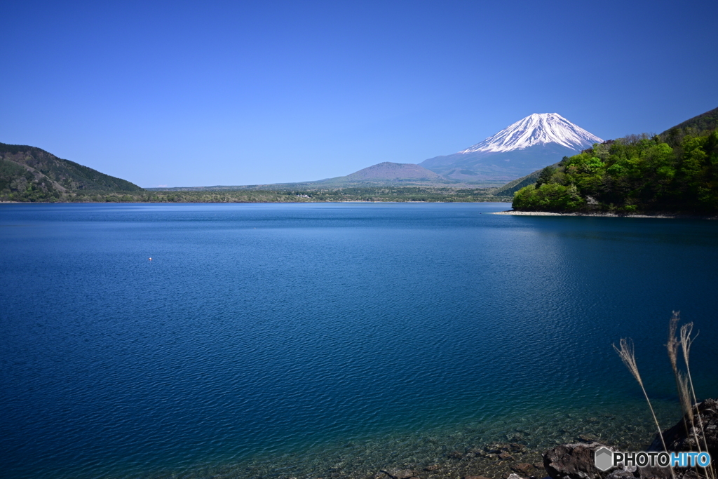 本栖湖から富士山展望