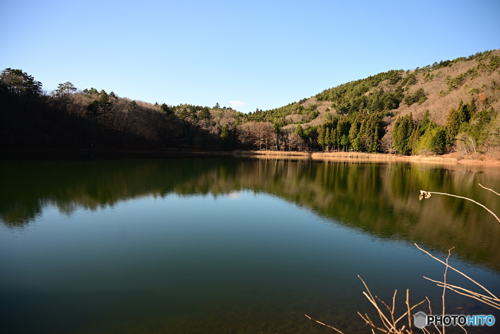 静寂の四尾連湖（緑色）