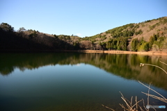静寂の四尾連湖（緑色）