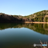 静寂の四尾連湖（緑色）