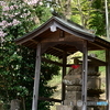 春のお地蔵様６