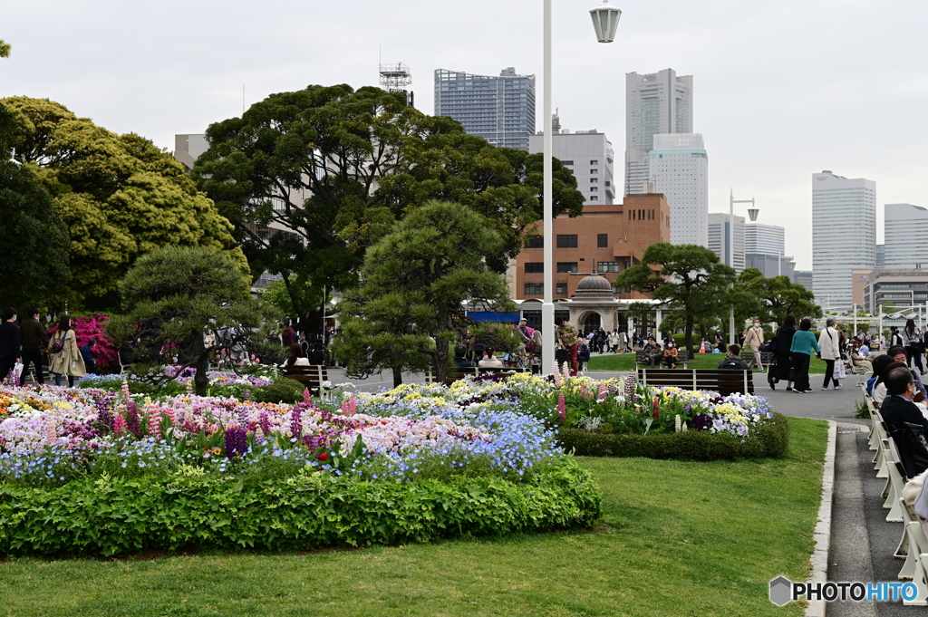 ランドマーク遠望