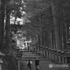 三峯神社奥宮遥拝殿への参道