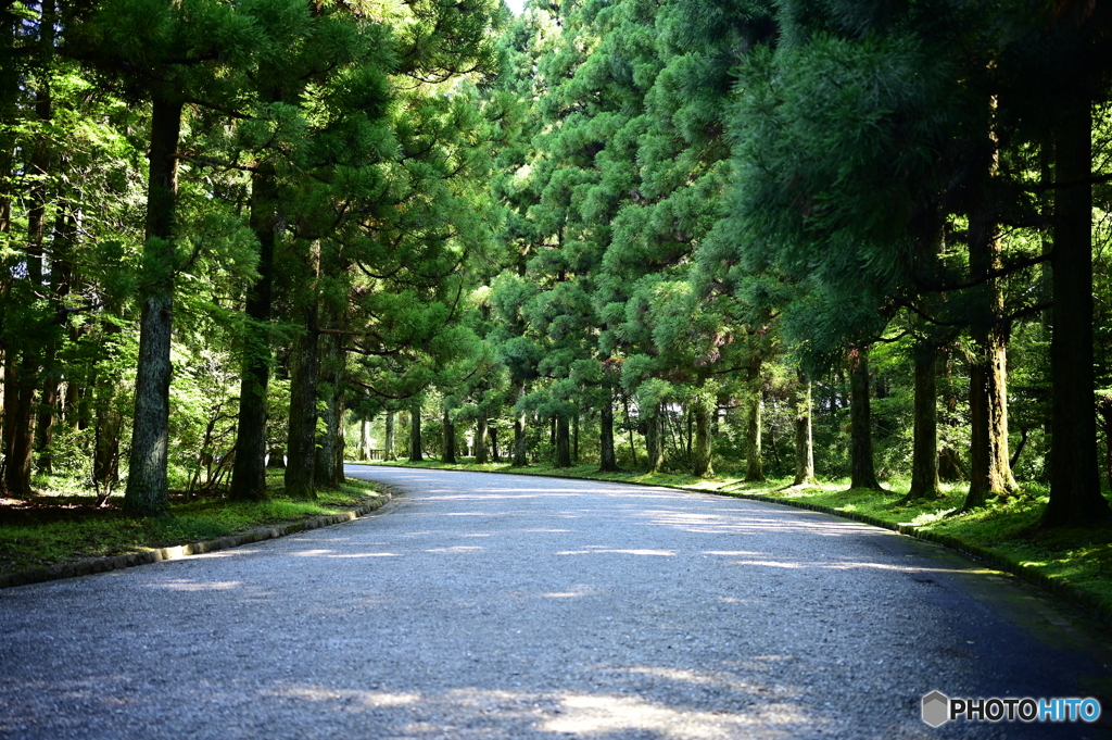 砂利の参道