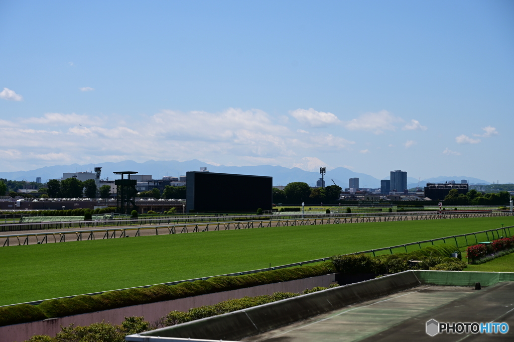 競馬場の休日　富士山眺望２