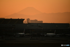 夕刻の羽田空港から富士山展望