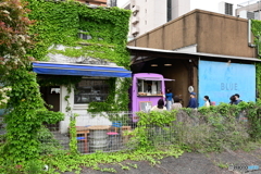 キッチンカーと蔦の建物４