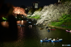 夜桜とボート