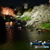 夜桜とボート