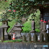 春のお地蔵様５