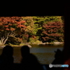 晩秋のあずまや展望