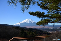 二重曲峠からの富士山３