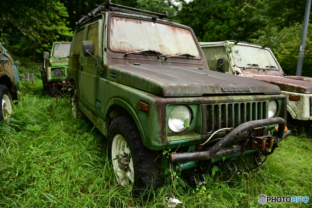 森に住むジムニー