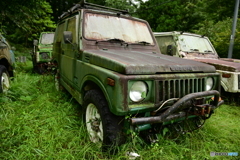 森に住むジムニー