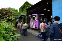 キッチンカーと蔦の建物１