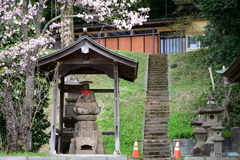 春のお地蔵様１