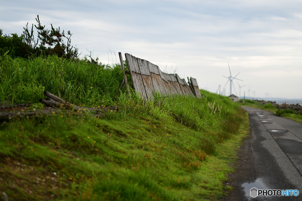 海岸の景色