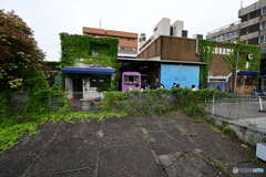 キッチンカーと蔦の建物２