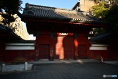 東京大学赤門