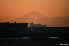夕刻の羽田空港から富士山展望