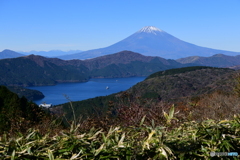 箱根笹・芦ノ湖・富士山
