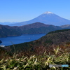箱根笹・芦ノ湖・富士山