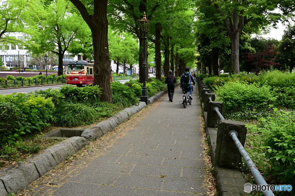 山下公園横