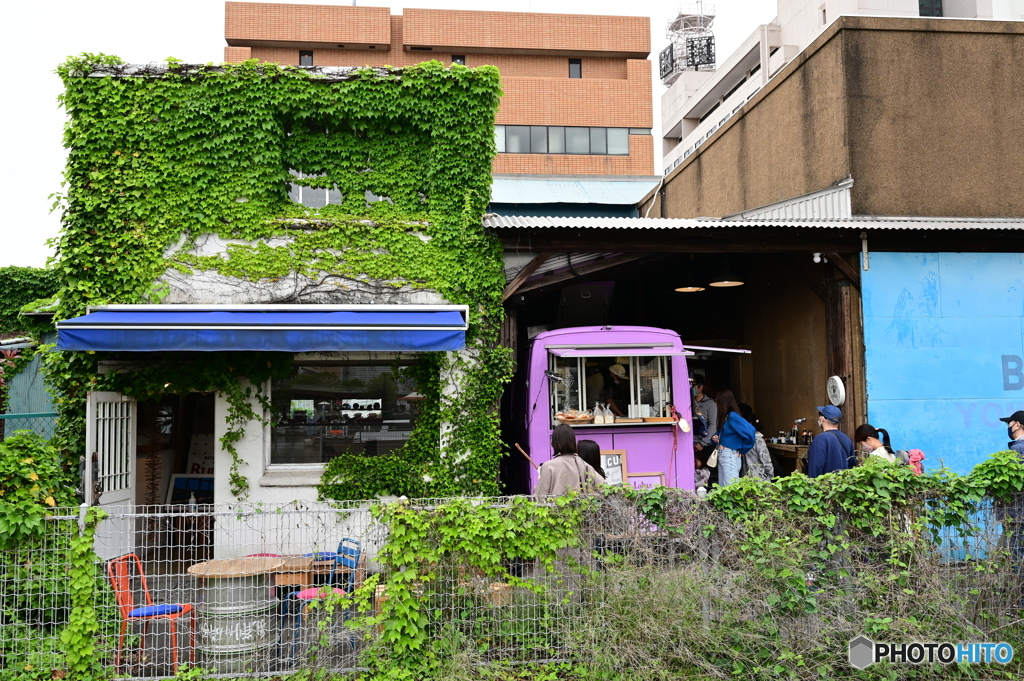 キッチンカーと蔦の建物３