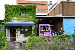 キッチンカーと蔦の建物３