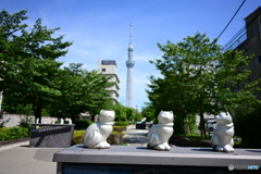 スカイツリーの観える風景