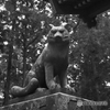 三峯神社狛犬