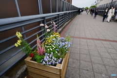 山下公園方面遊歩道