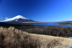 山中湖パノラマ台からの展望