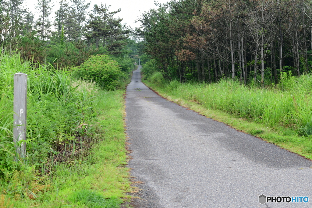 海岸からの一本道