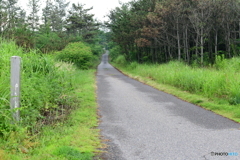 海岸からの一本道