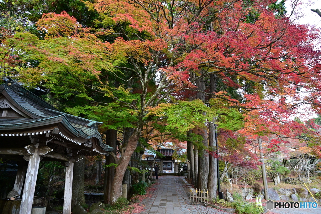 紅葉の長安寺参道