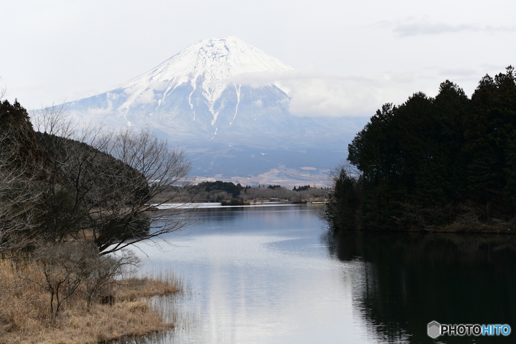 田貫湖からの富士山