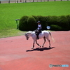 競馬場の休日　白馬