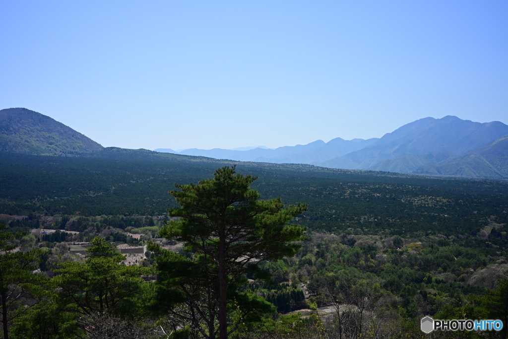 紅葉台から青木ヶ原を望む