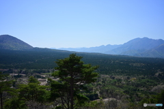 紅葉台から青木ヶ原を望む