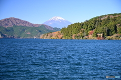 芦ノ湖から富士山望む